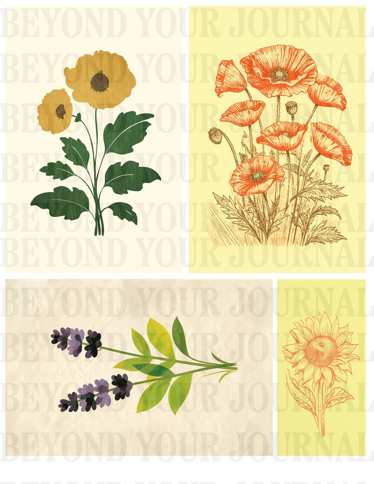 Floral Keepsakes: Printable Postcard Set 🌸